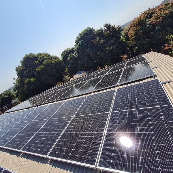 WhatsApp Image 2024-11-11 at 11.05.59