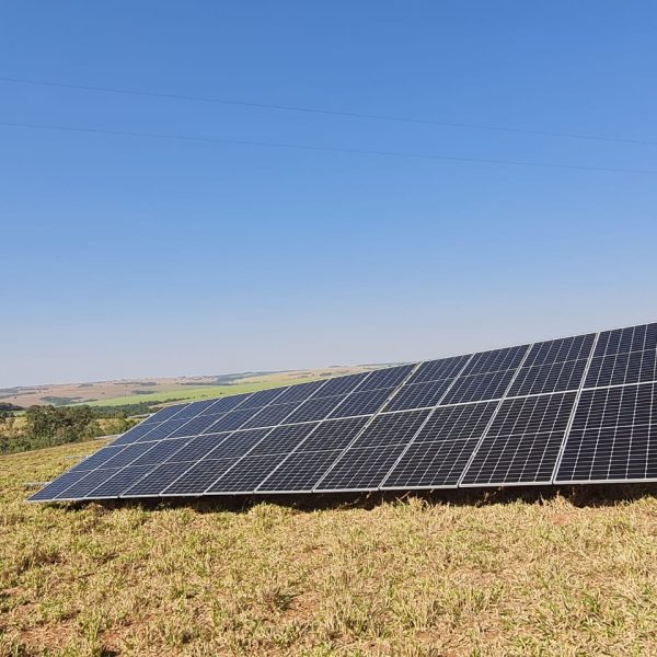 WhatsApp Image 2024-11-11 at 11.08.35